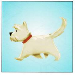 Luyện thi Starters - Đề số 3 1 16