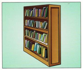 Luyện thi Starters - Đề số 3 1 23