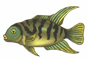 Luyện thi Starters - Đề số 4 0 25