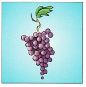 Luyện thi Starters - Đề số 4 1 4