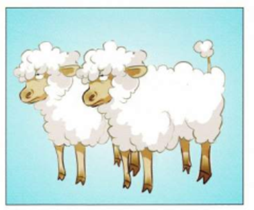 Luyện thi Starters - Đề số 5 0 16