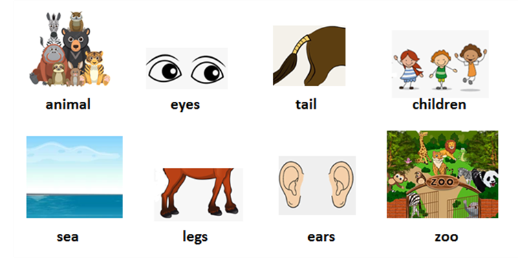 Luyện thi Starters - Đề số 5 0 27