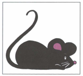 Luyện thi Starters - Đề số 5 0 5