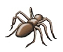 Luyện thi Starters - Đề số 5 1 24