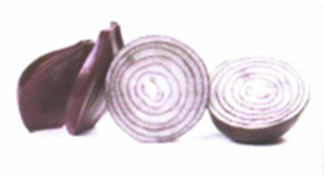 Luyện thi Starters - Đề số 5 1 27