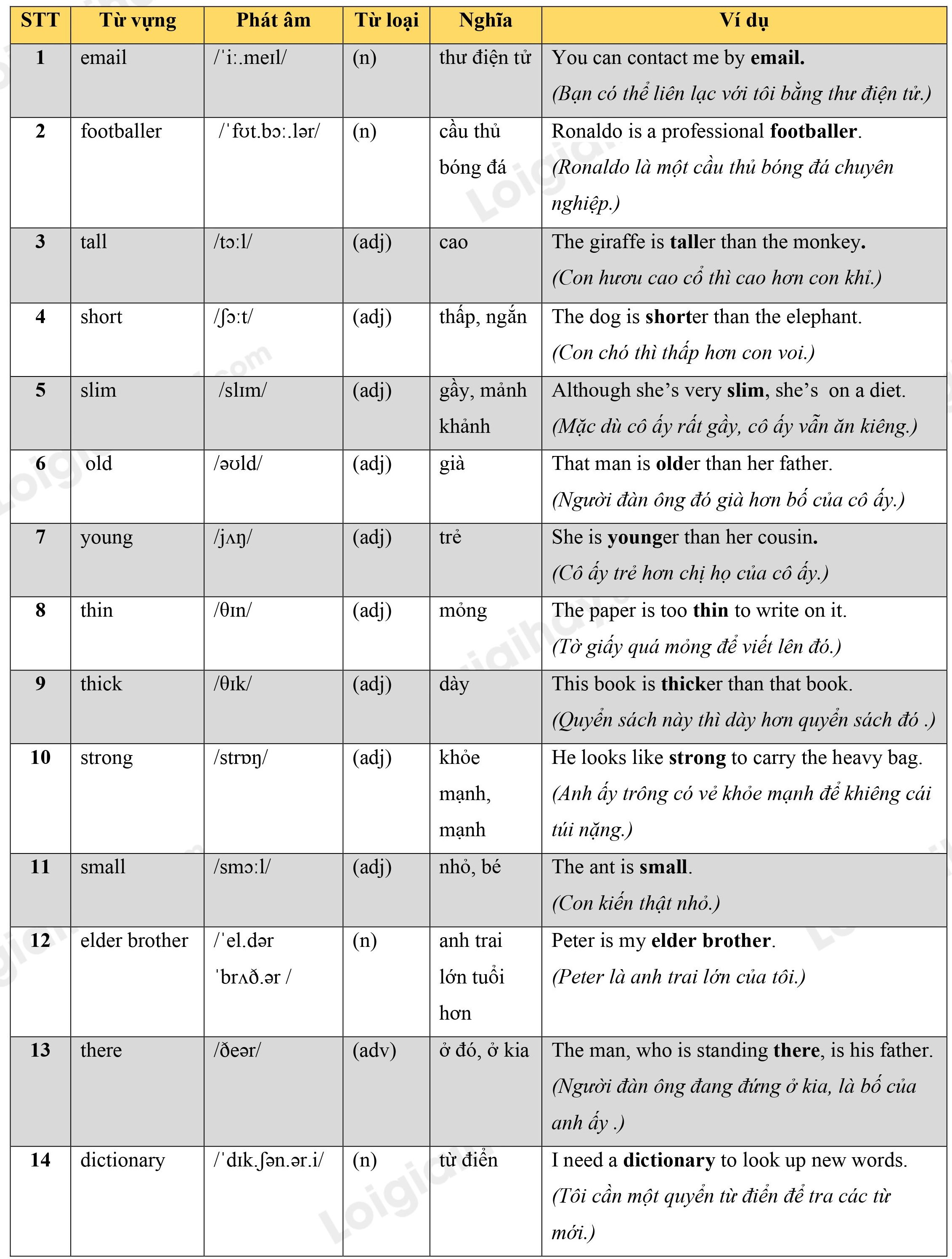 Lý thuyết Từ vựng - Ôn hè Tiếng Anh lớp 4 13 1