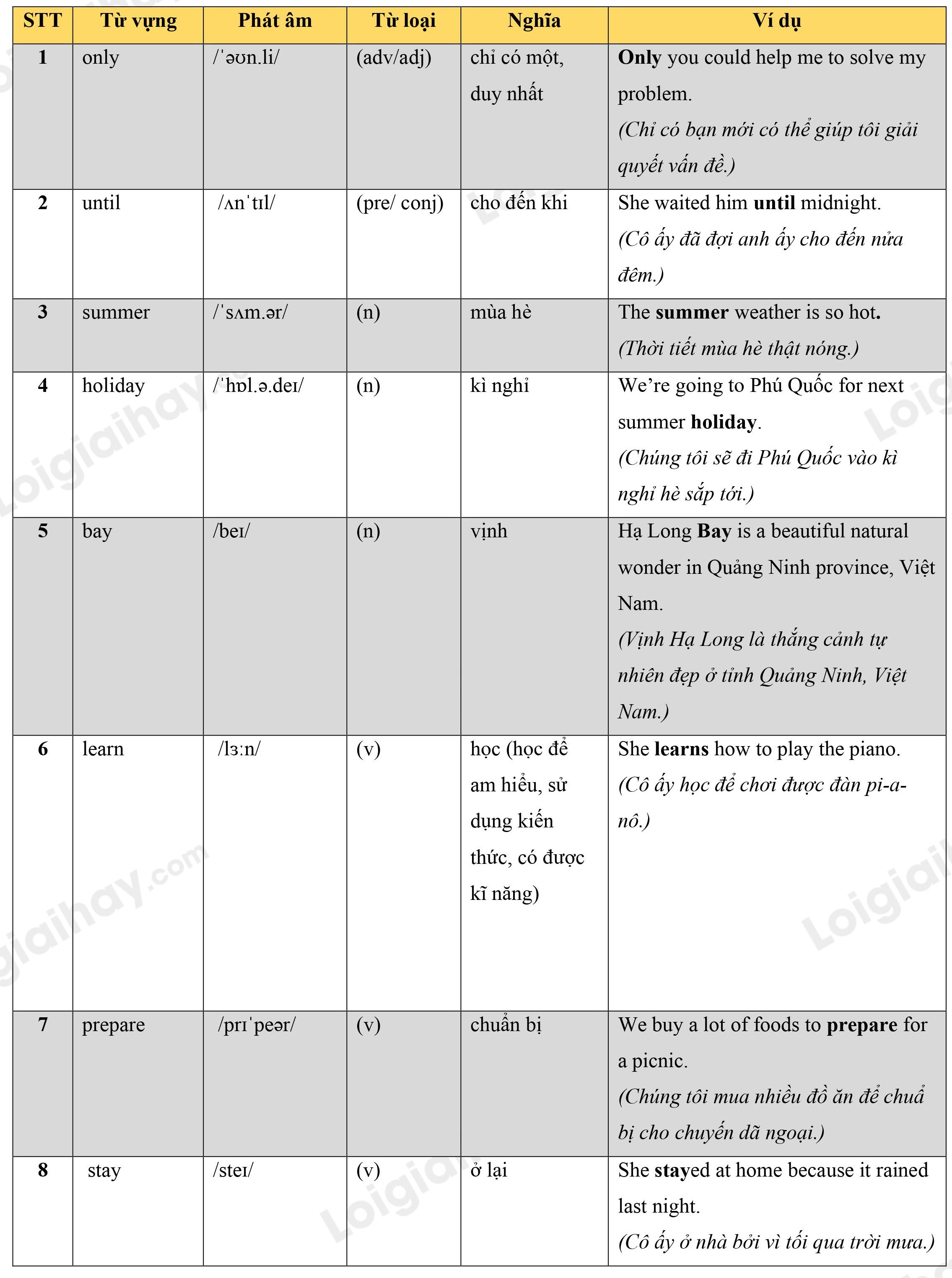 Lý thuyết Từ vựng - Ôn hè Tiếng Anh lớp 4 19 1