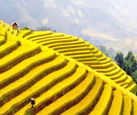 Project – Unit 5. Natural Wonders of Viet Nam - Tiếng Anh 6 – Global Success 0 2