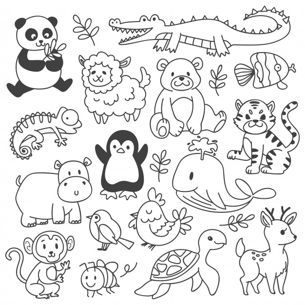 Puzzles and games - Unit 3. Wild life - Tiếng Anh 6 - Friends plus 0 1