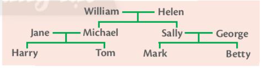 Reading: A busy day Unit 2 SBT tiếng Anh 6 – Friends Plus (Chân trời sáng tạo) 4 1