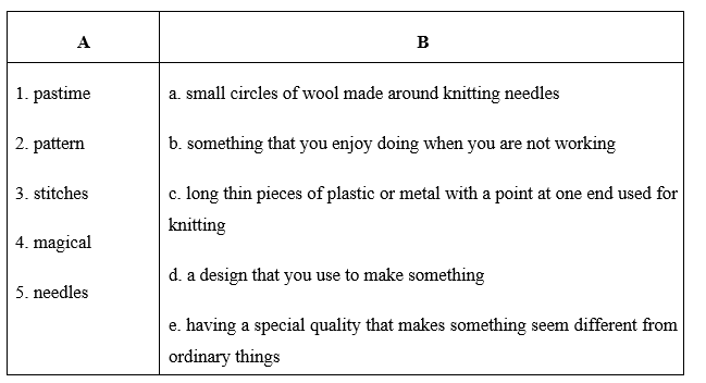 Reading - Unit 1. Leisure time - SBT Tiếng Anh 8 Global Success 2 1