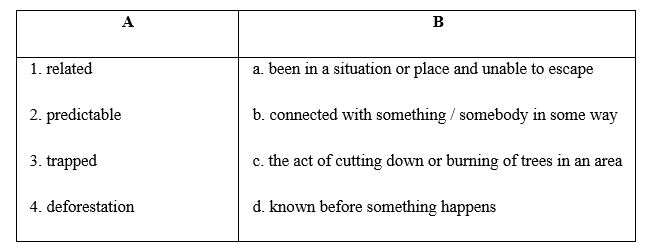 Reading - Unit 9. Natural disasters - SBT Tiếng Anh 8 Global Success 2 1