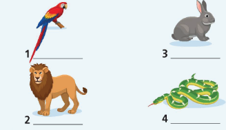 Revision (Unit 4-5) – SBT Tiếng Anh 6 – Right on! 4 1