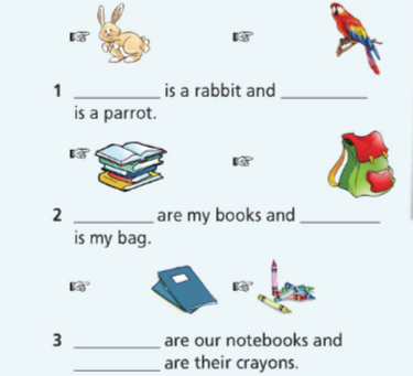 Revision (Units Hello! - 1) SBT Tiếng Anh 6 - Right on! 9 1