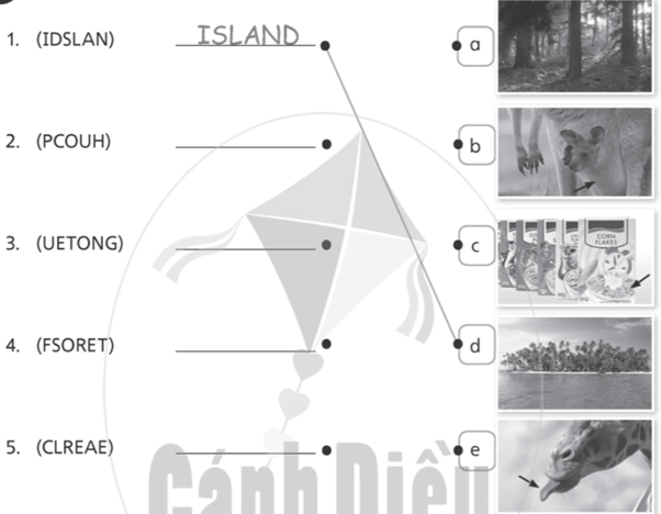 Stop and check 1 - SBT Tiếng Anh 5 - Explore Our World 0 1