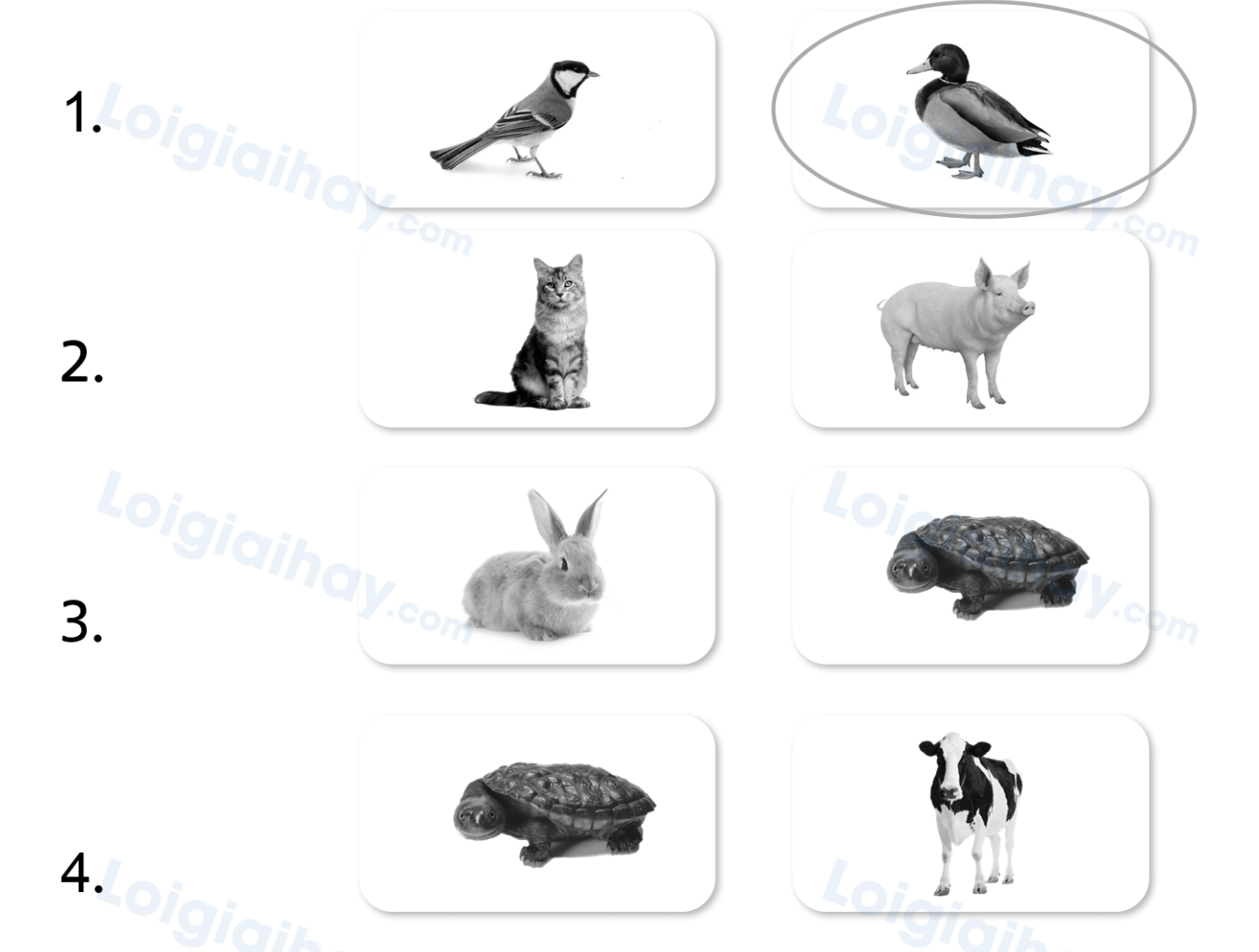 Stop and check 3 - SBT Tiếng Anh 4 - Explore Our World 0 1