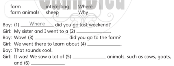 Stop and check 3 - SBT Tiếng Anh 5 - Explore Our World 3 1