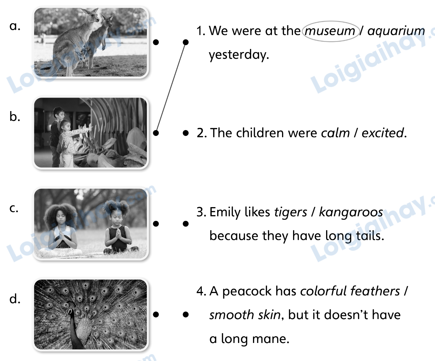 Stop and check 4 - SBT Tiếng Anh 4 - Explore Our World 0 1