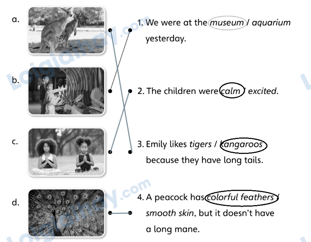 Stop and check 4 - SBT Tiếng Anh 4 - Explore Our World 0 2