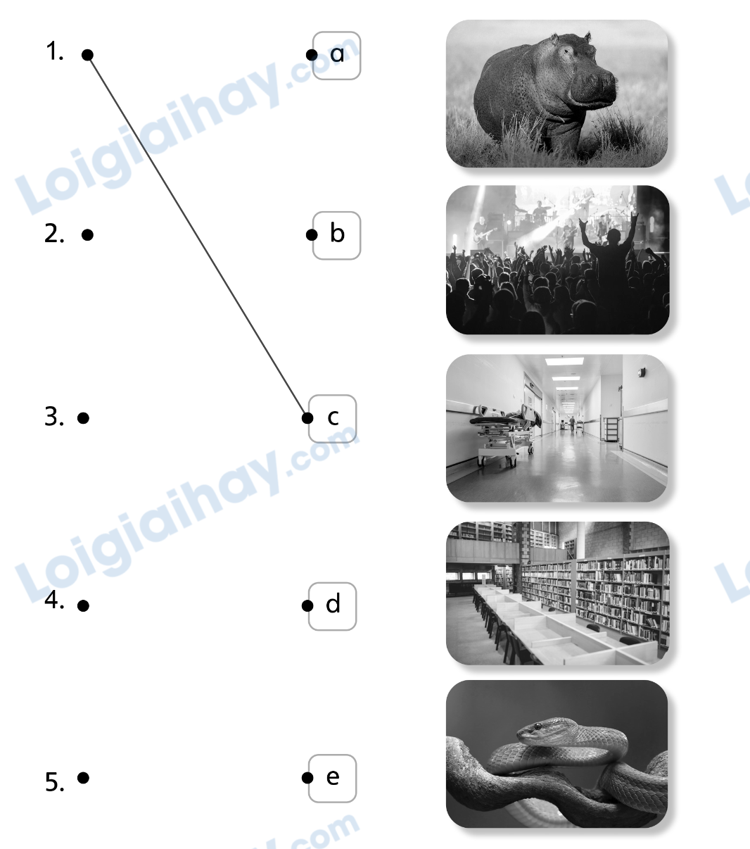 Stop and check 4 - SBT Tiếng Anh 4 - Explore Our World 2 1