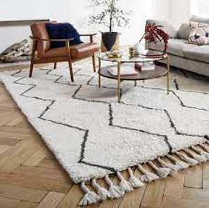 Image Example for rug