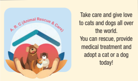 Tiếng Anh 10 Bright Unit 3 3a. Reading 9 1