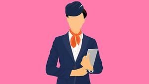 Image Example for flight attendant