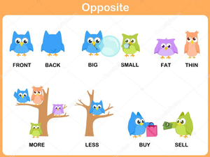 Image Example for opposite