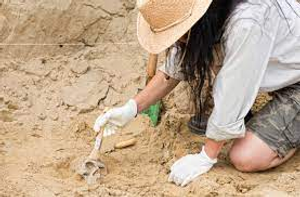 Image Example for archaeologist