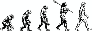 Image Example for evolution