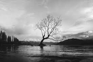 Image Example for black and white photograph