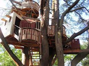 Image Example for tree house