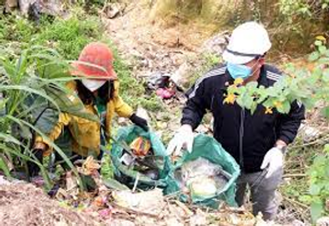 Image Example for collect rubbish