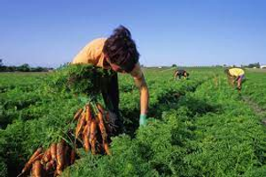 Image Example for help on a farm