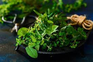 Image Example for herb