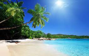 Image Example for tropical beach