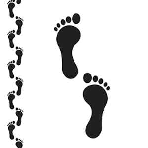 Image Example for footprint