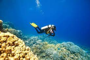 Image Example for go scuba diving