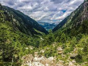 Image Example for wilderness