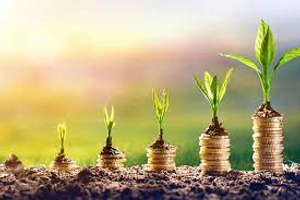 Image Example for invest