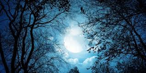 Image Example for dark