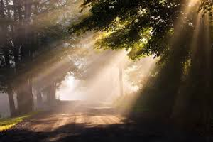 Image Example for shine