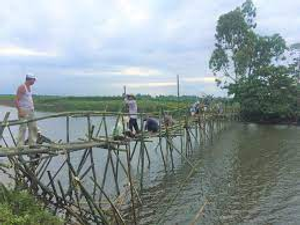 Image Example for cross