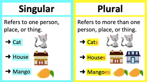 Image Example for plural