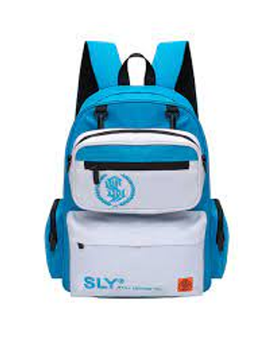 Image Example for backpack