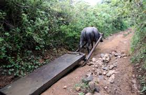 Image Example for harness