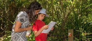 Image Example for orienteering