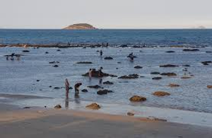 Image Example for shallow