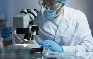 Image Example for behaviour