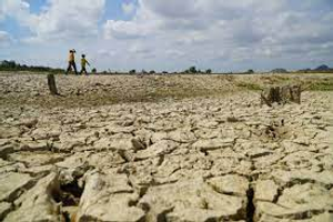 Image Example for drought